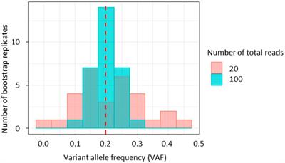 Bootstrap confidence for molecular evolutionary estimates from tumor bulk sequencing data